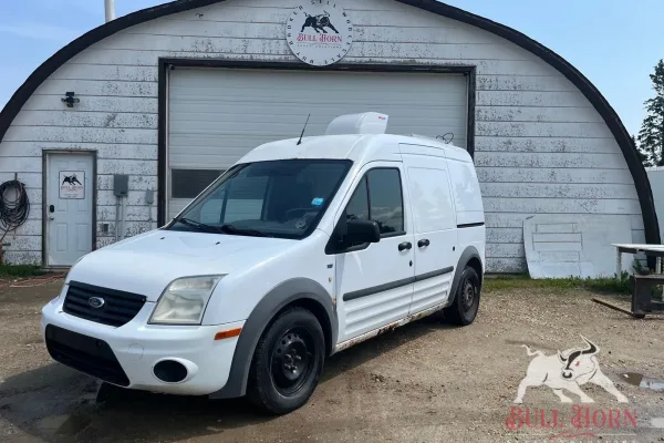 2010 FORD Transit Connect